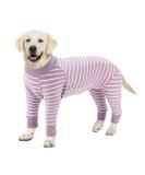 Ranypet One-Divider Pajamas for Large & Medium Dogs | Surgical Recovery Suit & Wound Protection | Anti-Lick & Relaxation | 5XL Purple - Buy Online on GoSupps.com