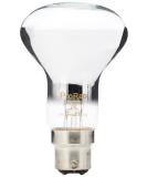 ProRep BC Basking Spotlamp 40 Watt - Buy Online on GoSupps.com