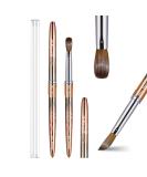 Shine Chance Size 12 Acrylic Nail Brush - 100% Real Kolinsky Art Brush for Acrylic Powder Application - Handmade Manicure Tool for DIY and Professional Use - Buy Online on GoSupps.com
