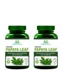 Herbal Magic Natural Papaya Leaf (Carica Papaya) 60 x 500 mg Veg Capsules - Rich Revered & Prized herb in Ayurveda - Whole Leaf Used - No Fillers & Preservatives (Pack of 2) Papaya Leaf Powder Capsules - Pack 2 - Buy Online on GoSupps.com