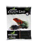 Reptiles Planet 5kg Cat Litter Sand - Natural Calcium Terrarium Sand for Reptiles - Buy Online on GoSupps.com