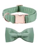 Shop Lionet Paw's Comfortable Silk Green Dog Collar with Removable Fly for Large Dogs - Neck Size 40-60cm - 1 Pack - Buy Online on GoSupps.com