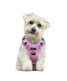 Funfox No Pull Dog Harness for Small Dogs | Adjustable & Breathable Safety Harness | Pink | Perfect for Medium & Small Breeds - Buy Online on GoSupps.com