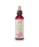 Bach Original Flower Remedies Crab Apple 20mL: Natural Homeopathic Essence for Holistic Wellness, Stress Relief, and Accepting Imperfections - Vegan - Buy Online on GoSupps.com