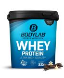 Bodylab24 Whey Protein Powder Vanilla 2kg Vanilla 2 kg (1 pack) - Buy Online on GoSupps.com