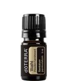 doTERRA Hawaiian Sandalwood Essential Oil 5 mL | Best Quality Pure Essential Oil for Relaxation & Wellness - Fast International Shipping - Buy Online on GoSupps.com