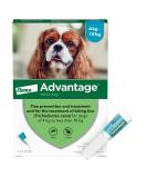 Advantage 100 Flea Spot On Treatment For Dogs 1 Pipette 1.0ml 4-10kg - Buy Online on GoSupps.com