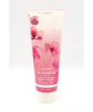 Cherry Blossom Ultimate Hydration Body Cream - 8 oz | Nourishing Bath & Body Moisturizer | International Shipping Available - Buy Online on GoSupps.com