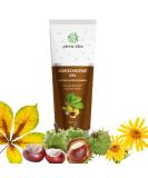 Green Idea Rosskastanien Ointment Gel for Varicose Veins - Leg Cream with Arnica & Horse Chestnut - 200ml Venensalbe for Spider Veins & Hemorrhoids - Buy Online on GoSupps.com