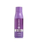 Shop Wellness Premium Silver Shampoo with Organic Hemp Seed Oil - Nourish & Revitalize Your Hair - Buy Online on GoSupps.com