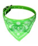 Cat Collar with Bandana in Paisley Look - Green Buckle - Size S (20-26cm Neck) | International Shipping Available - Buy Online on GoSupps.com