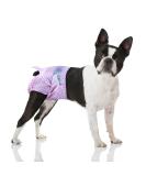 Flying Paws Disposable Dog Diapers - Adjustable & Suitable for Dogs & Cats | M Size (10 Pack) - Premium Quality for Stress-Free Pet Care - Buy Online on GoSupps.com