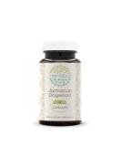 Buy Jamaican Dogwood 60 Capsules - 500 mg Wildcrafted Dried Bark - Enhance Sleep & Relaxation - International Shipping Available - Buy Online on GoSupps.com