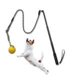 Tekcam Flirt Pole for Dogs | Interactive Tug Ball Toy for Training | Durable Outdoor Chewing Stick for Small to Large Breeds - Buy Online on GoSupps.com