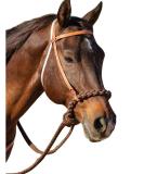 Professional's Choice 8168HL Loping Hackamore for Horses - Buy Online on GoSupps.com