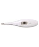 Dreambaby Clinical Digital Thermometer - Accurate and Reliable Temperature Reading - Buy Online on GoSupps.com