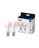WiZ Connected 2-Pack Color 60W A19 Smart WiFi Light Bulb, 16 Million Colors, Compatible with Alexa and Google Home Assistant, No Hub Required, 2 Bulbs A19 Color 2 Count (Pack of 1) - Buy Online on GoSupps.com
