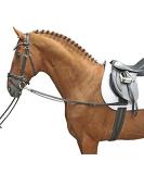 Buy HKM Side Reins 1873 - Black for Thoroughbred & Warmblood | International Shipping Available - Buy Online on GoSupps.com