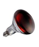 Orvarto Infrared Heat Lamp Bulb Ruby 250w. for Infra Red Heat Lamps for Poultry Chicks Dogs Puppies Cats Kittens Pigs Reptiles and Other Animals. - Buy Online on GoSupps.com