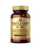 Solgar Gentle Iron 25 mg - 90 Vegan Capsules for Optimal Iron Support - Buy Online on GoSupps.com
