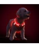 Buy PCEOTLLAR LED Dog Harness - Reflective Lightweight & Breathable for Small to Medium Dogs | USB Rechargeable & Flashing Light | Perfect for Night Walks - Buy Online on GoSupps.com