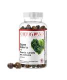 Super Greens Gummies - Antioxidants Mushrooms & Probiotics | Vegan Gluten & Gelatin-Free | Detox & Digestive Health Support | 60 Count - Buy Online on GoSupps.com