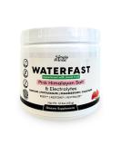 WATERFAST Monk Fruit Keto Electrolyte Powder - Strawberry Watermelon | Sugar Free Hydration & Fasting support with Pink Himalayan Salt Potassium Magnesium Calcium - International Shipping Available - Buy Online on GoSupps.com