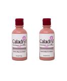 Calamine Skin Protectant Plus Itch Relief - 6oz (2 Pack), Pink Formula - Buy Online on GoSupps.com