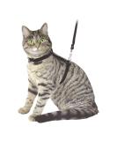 Buy Kerbl 83819 Cat Harness with Leash 120 cm - Black Suede | International Shipping Available - Buy Online on GoSupps.com