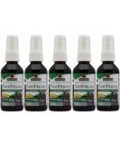 Nature's Answer Sambucus Black Elderberry Extract Spray - Alcohol-Free 2 fl oz | Immune Support - Buy Online on GoSupps.com