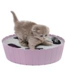 Buy Pawaboo Electric Mouse Cat Toys - Interactive Kitten Play Safe Scratch Mat & Chew Balls in Violet Taro - Buy Online on GoSupps.com