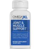 OmegaXL Natural Joint & Muscle Health, Mobility Support Supplement  Supports a Healthy Inflammatory Response - 30+ Fatty Acids from Green-Lipped Mussels - 120 Softgels - Buy Online on GoSupps.com