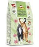 Granatapet Delicatessen Poultry Adult Dry Food for Cats Tasty Cat Food Sole Center Without Grain & Without Sugar additives 300 g 300 g (1 -pack) Poultry - Buy Online on GoSupps.com