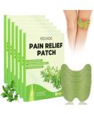 CLIUNT 60pcs Pain Relief Patches - Arthritis Knee, Neck, Shoulder - Muscle Soreness Relief - Buy Online on GoSupps.com
