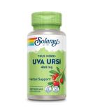 Solaray Uva Ursi Leaf 460 mg | Healthy Bladder & Kidney Support | Non-GMO | 100 Count (Pack of 2) | Urinary Tract Health Supplement - Buy Online on GoSupps.com