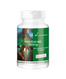 Kelp 100mg - 180 Vegan Tablets | Natural Iodine Supplement - 6 Months Supply | Vitamintrend  - Buy Online on GoSupps.com