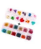 XICHEN 120 PCS 3D Nail Stickers - Five Flower Dried Flower Applique for Nail Art - Buy Online on GoSupps.com