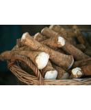 Organic Horseradish Root 8 oz | Fresh and Flavorful for Planting, Seasoning, and Sauces - Buy Online on GoSupps.com