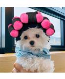 Dog Hair Costume Cosplay Wigs for Cats - Adjustable Pet Wigs for Halloween & Parties - Buy Online on GoSupps.com