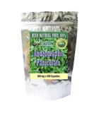 Andrographis Paniculata-King of Bitter-kalmegh 500mg 180 Capsules | Premium Quality - Buy Online on GoSupps.com