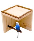 Natural Budgie Sleeping House with Perch - Top Bird Accessories for a Comfortable Cage - Buy Online on GoSupps.com
