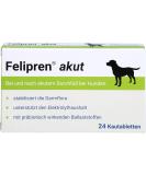 Felipren Acute Chewing Tablets for Dogs | Effective Pain Relief & Anti-Inflammatory | Fast International Shipping - Buy Online on GoSupps.com
