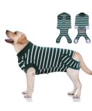 XXL Dog Surgery Recovery Suit - Breathable Postoperative Vest for Puppies | Medical Clothing & E-Collar Replacement | Ruff Green Stripe - Buy Online on GoSupps.com