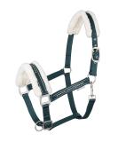 Waldhausen Elegant Halter in Green - Premium VB Size for International Shipping - Buy Online on GoSupps.com