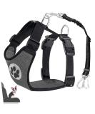 Eyin Dog Harness with Seat Belt for Car - Adjustable Breathable 2 Carabiner Hooks - Perfect for Child Safety Seats & Trunk (Gray S) - Buy Online on GoSupps.com