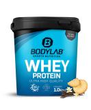 Bodylab24 Whey Protein Powder - Vanilla Biscuit 1kg | Premium Quality Protein for Muscle Growth & Recovery - Buy Online on GoSupps.com