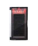 Buy Amber Lash X-Lash - Mink Eyelash Extensions 0.15mm Thickness (11mm L+) for Stunning Volume - Buy Online on GoSupps.com