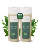 Ingreendients Sulfate Free Vegan Shampoo with Organic Apple Cider Vinegar & Tea Tree Oil - Color Safe, Paraben & Gluten Free, pH Balanced - Buy Online on GoSupps.com