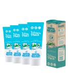 TEST WINNER at Stiftung Warentest (grade 1.2 VERY GOOD): DENTAL DELIGHT Polar Punch 4-pack toothpaste glacier mint vegan climate neutral microplastic-free mint 4 pieces (1 pack) - Buy Online on GoSupps.com
