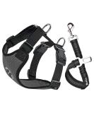 Slowton Dog Harness with Seat Belt for Car - Breathable Latex Puppy Safety Harness for Everyday Sports - Gray Size S - Buy Online on GoSupps.com